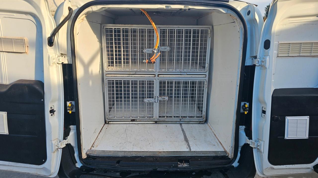 Fiat doblò allestimento trasporto animali