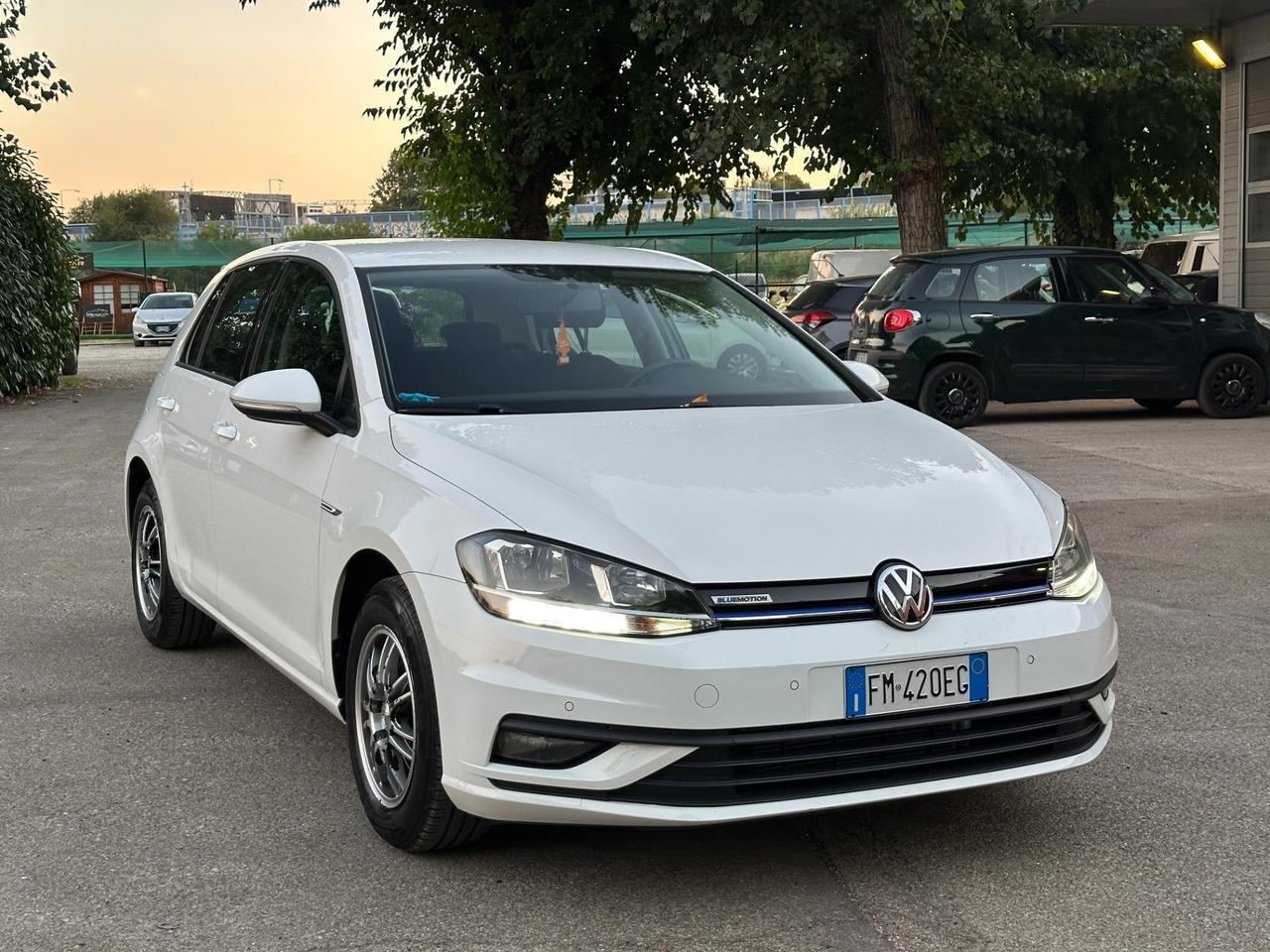 Volkswagen Golf 1.4 TGI 5p. Executive BlueMotion