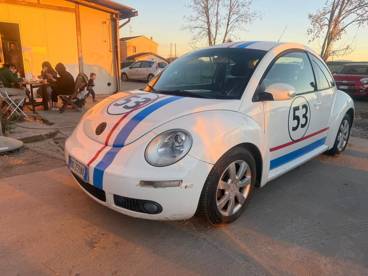 Volkswagen New Beetle 1.9 TDI 105CV