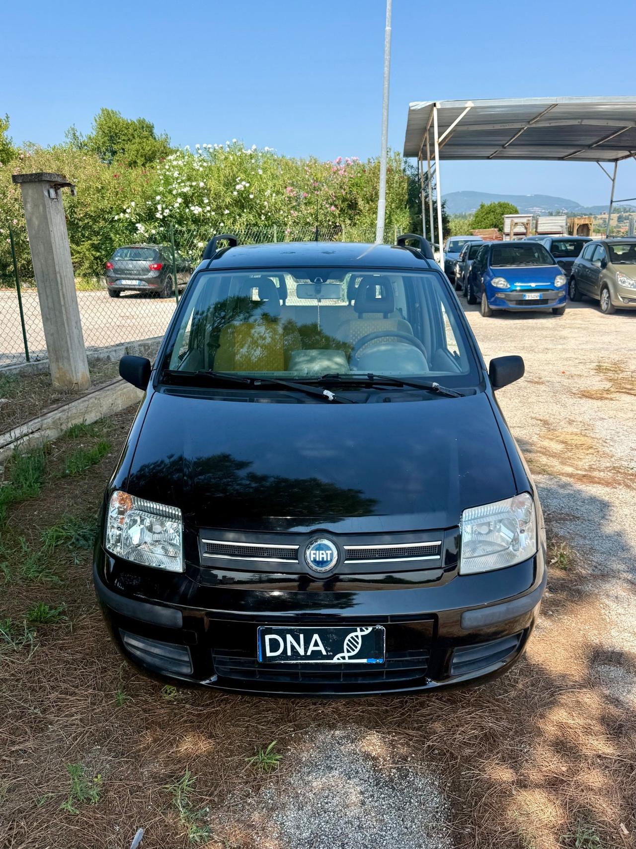 Fiat Panda 1.2 Benzina Neopatentati UNIPROPRIETÀ