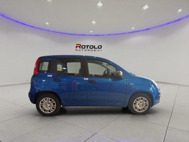 FIAT Panda 1.0 FireFly S&S Hybrid SENZA FINANZIAMENTO