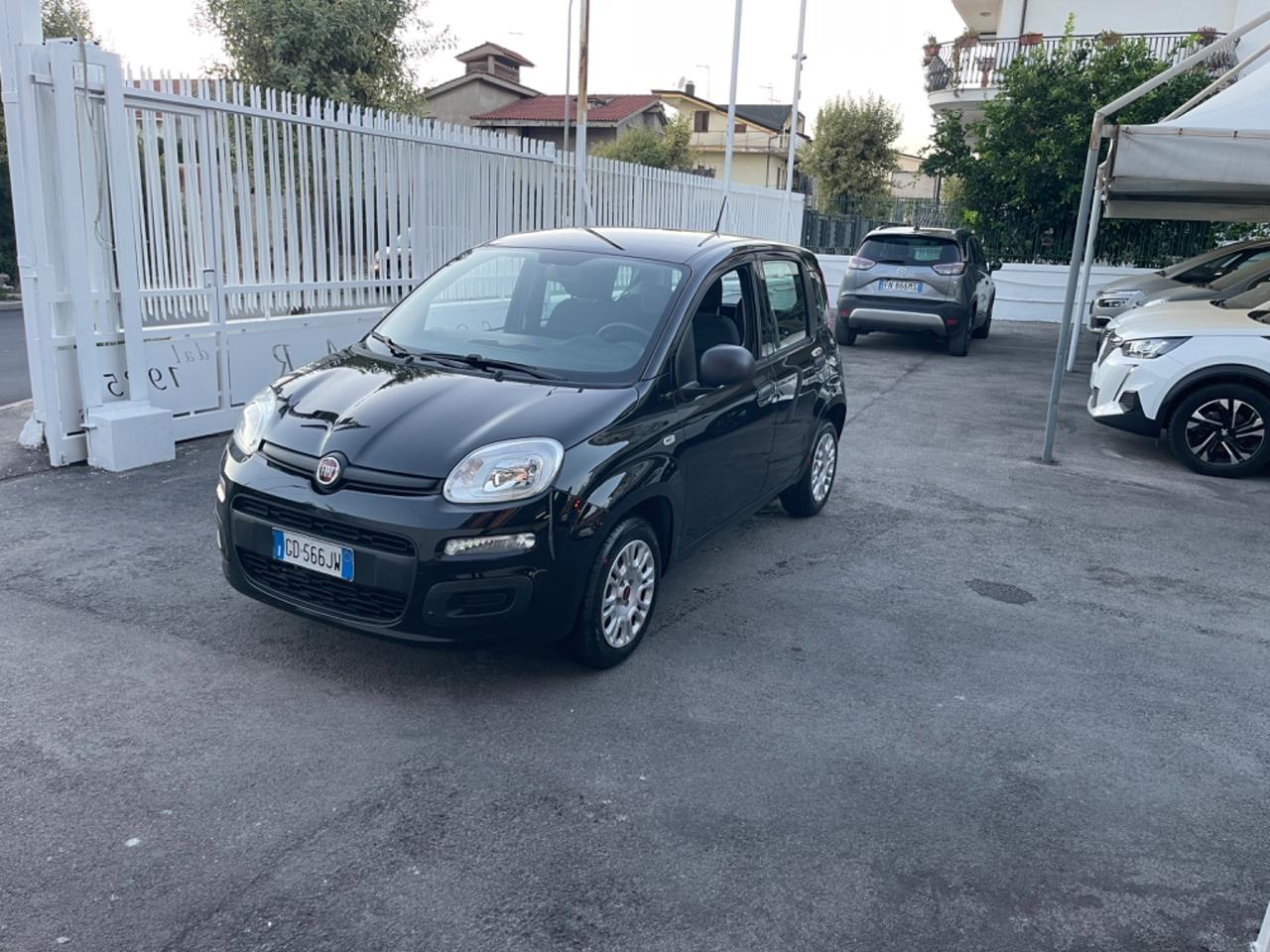 Fiat Panda 1.2 Easy 11/2020 KM 52.300 CERTIFICATI IN FATTURA!!!