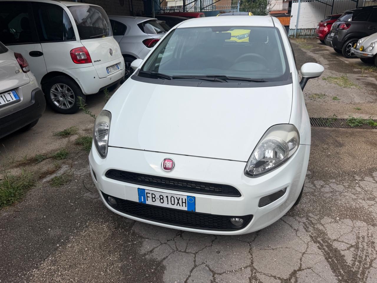 Fiat Punto 1.2 8V 5 porte Lounge