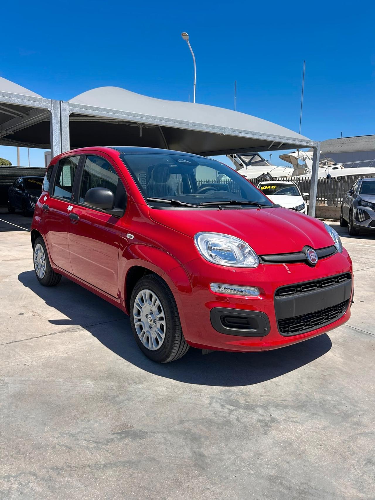 Fiat Panda Pandina 1.0 FireFly 65 CV Hybrid Icon