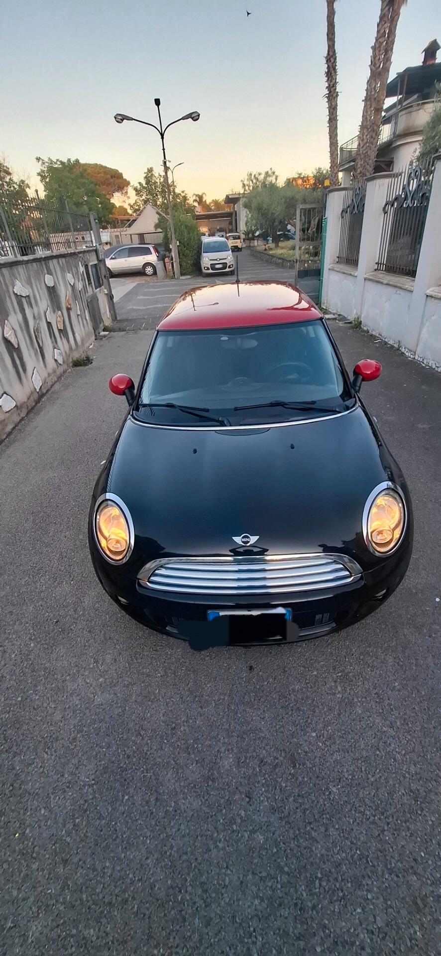 Mini Ray