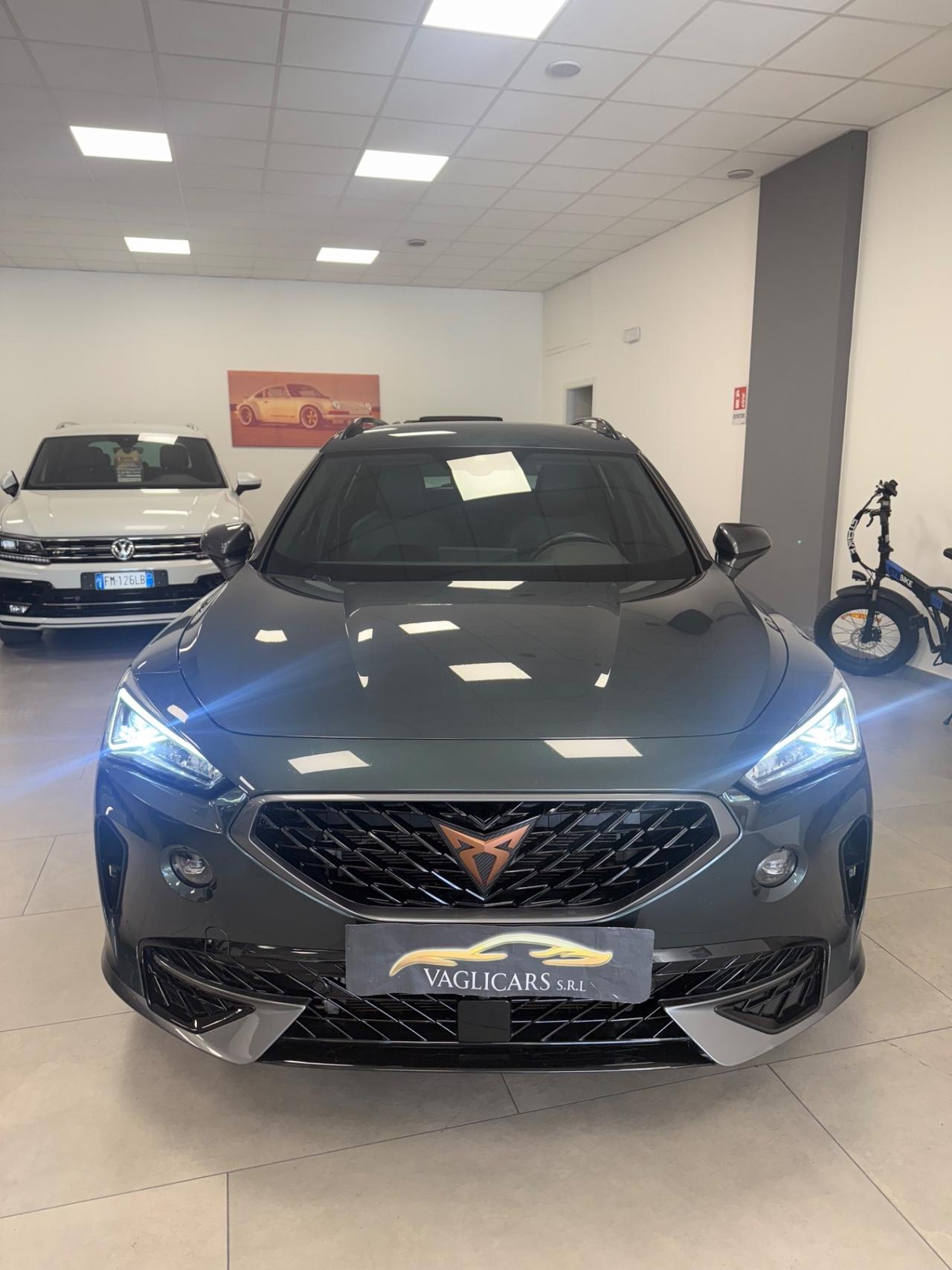 Cupra Formentor 2.0 TDI 4Drive DSG