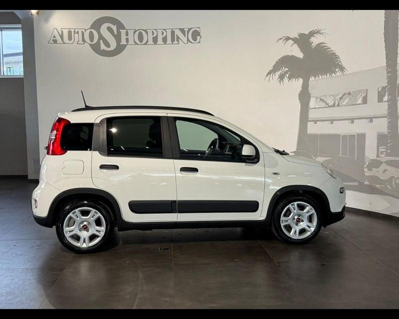 FIAT Panda 3ª serie 1.0 FireFly S&S Hybrid City Cross