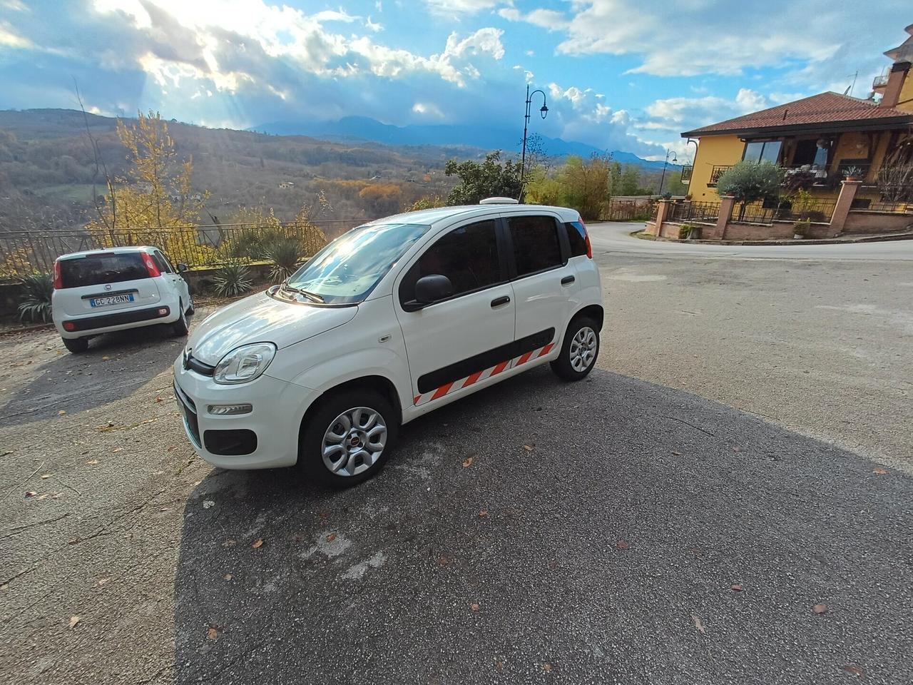 Fiat Panda 4x4 Pop Van 2 posti