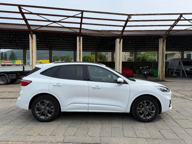FORD Kuga 1.5 EcoBoost 150 CV 2WD ST-Line