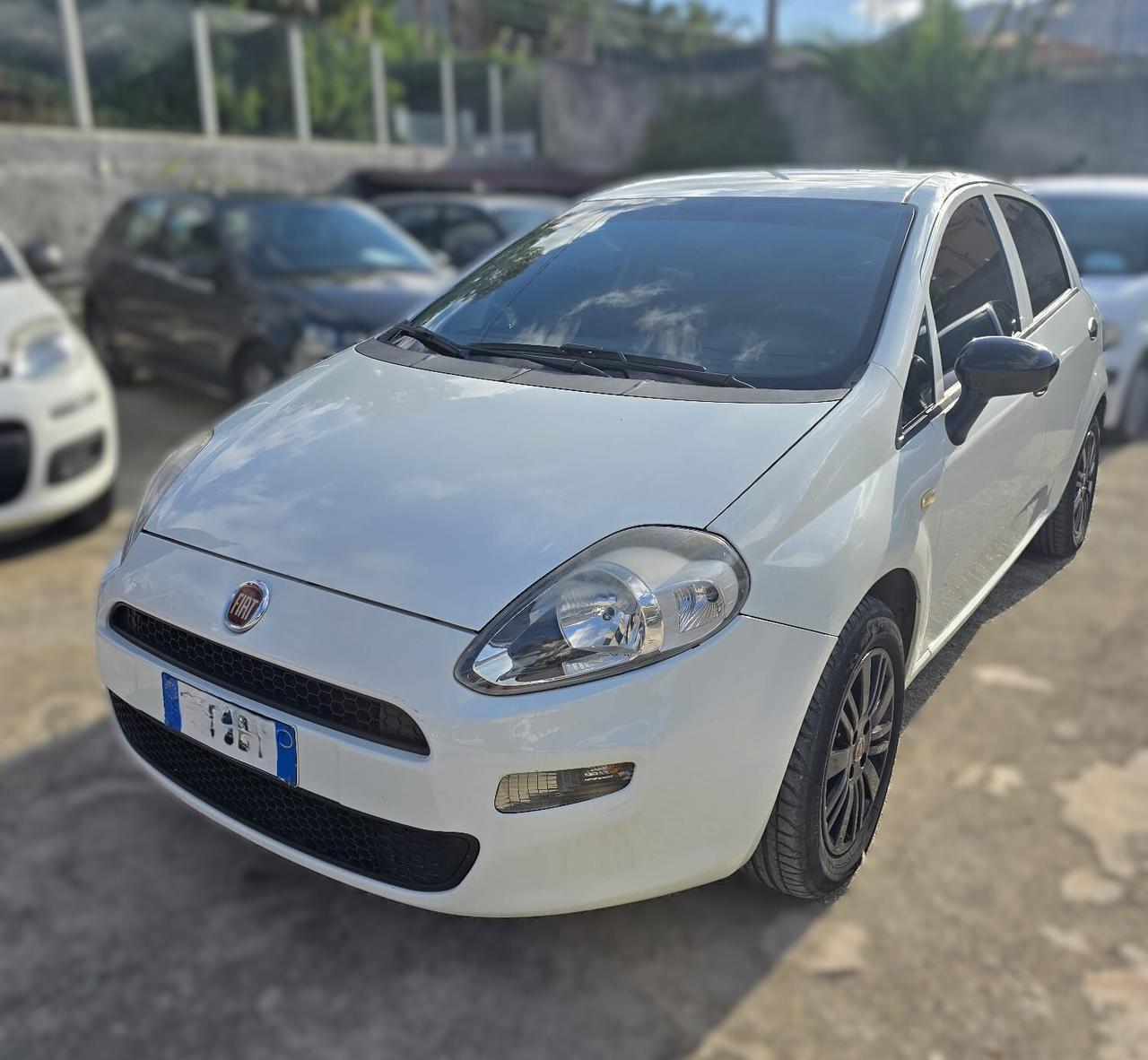 Fiat Punto 1.2 8V 5 porte Street