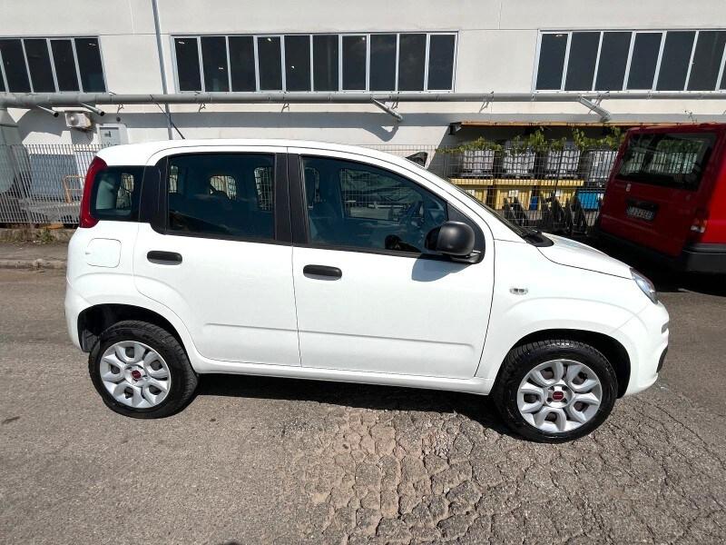 FIAT Panda 3ª serie Panda 0.9 TwinAir Turbo Na...