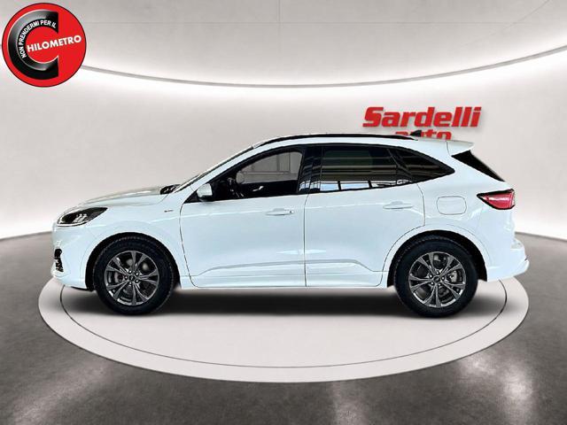 FORD Kuga 2.5 Full Hybrid 190 CV CVT 2WD ST-Line