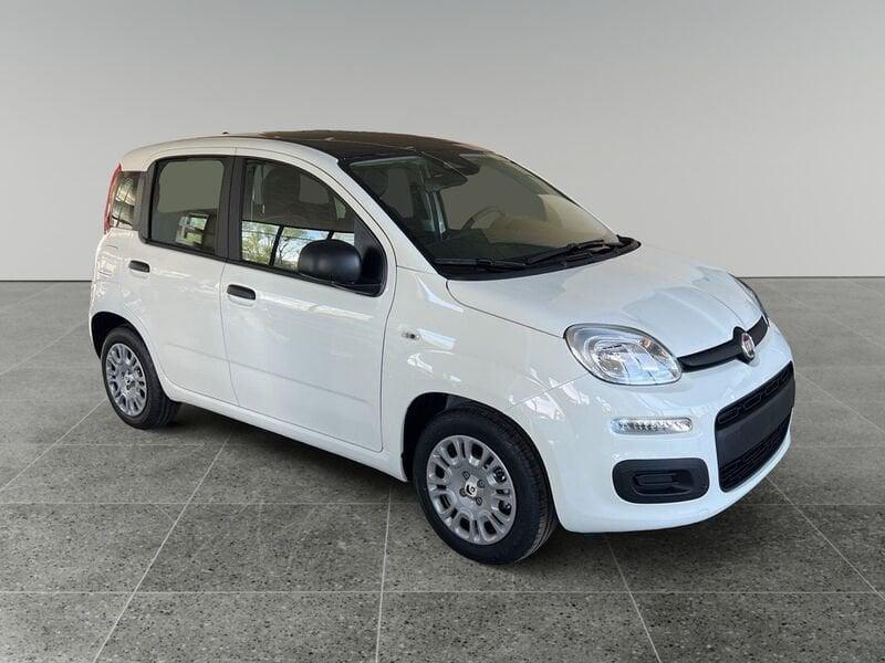 FIAT Pandina Pandina 1.0 firefly hybrid s&s 70cv