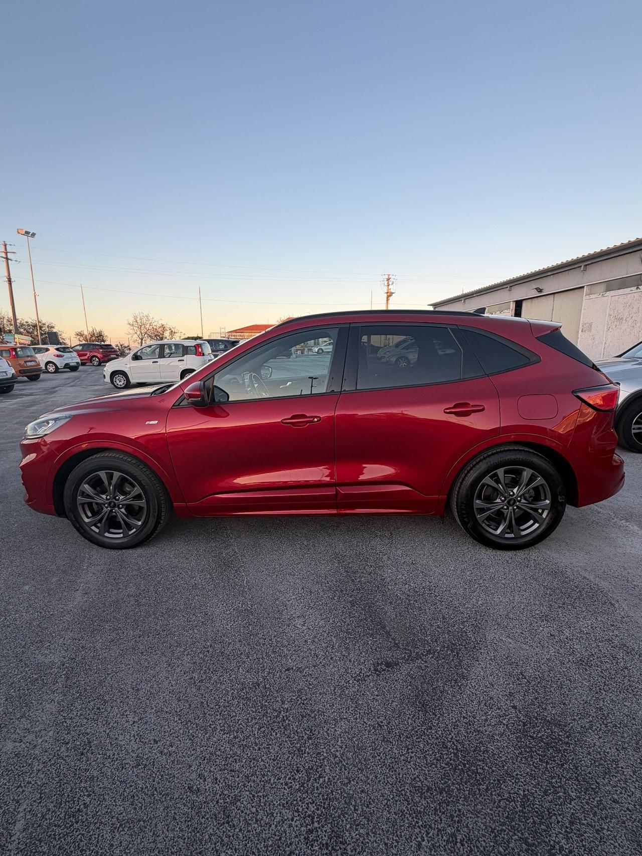 Ford Kuga 1.5 EcoBlue 120 CV aut. 2WD ST-Line X