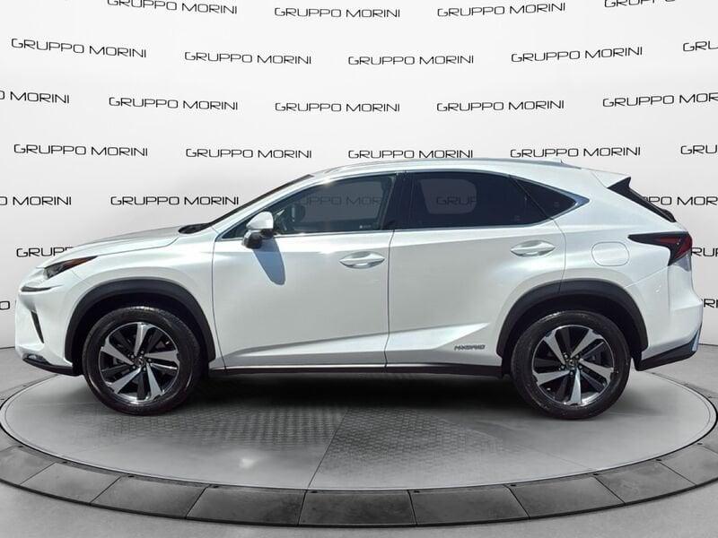 Lexus NX NX 300h 2.5 Luxury 4wd cvt