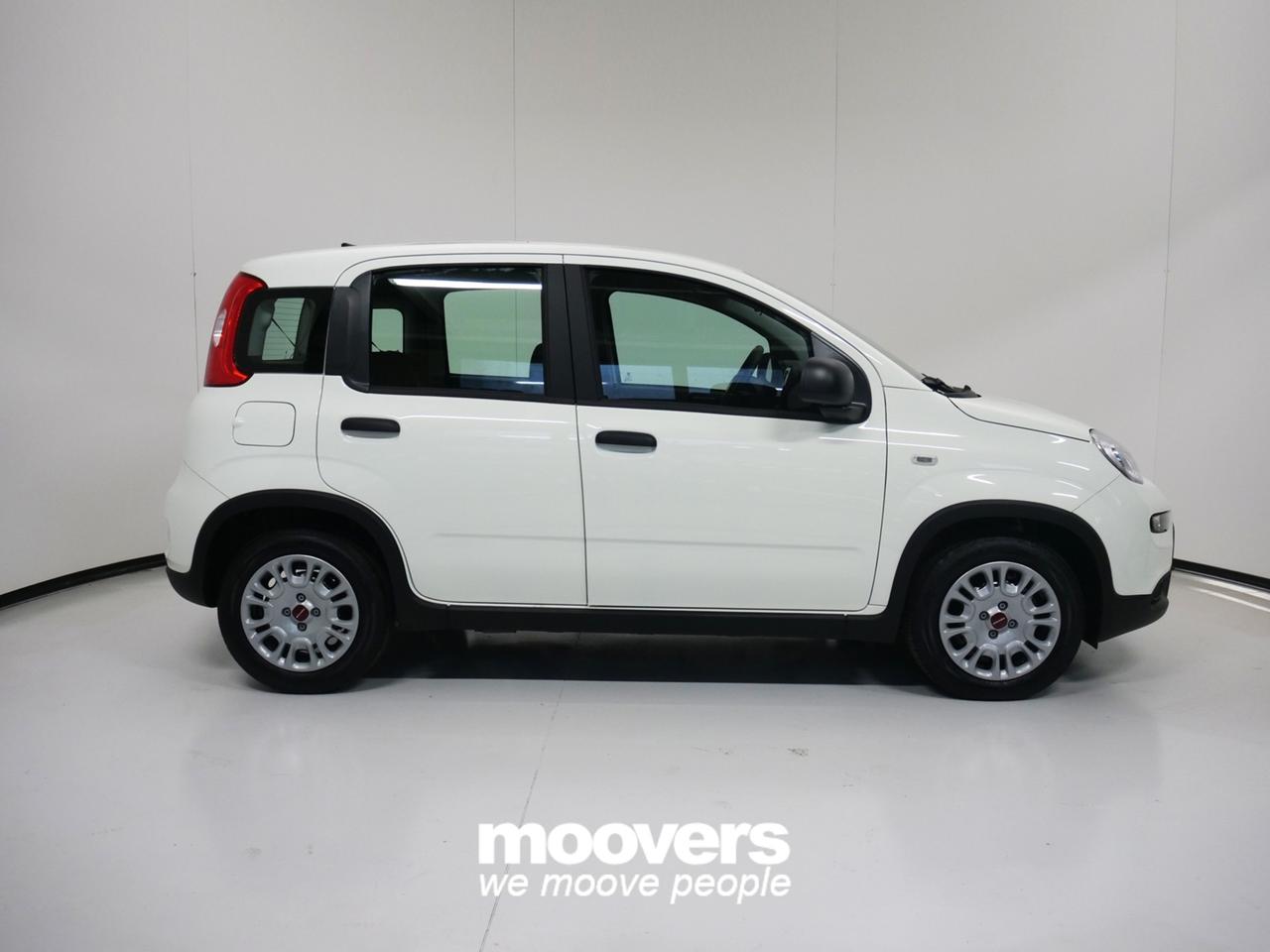 FIAT Panda 3ª serie 1.0 FireFly S&S Hybrid