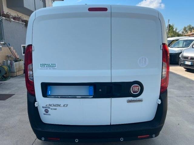 Fiat doblo cargo