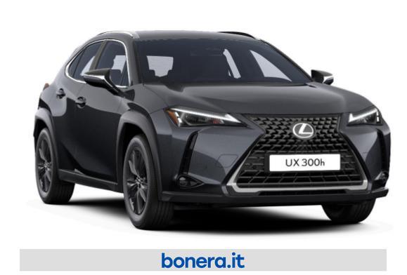 Lexus UX 300 2.0 Premium Hybrid Urban 2WD Power Split Device