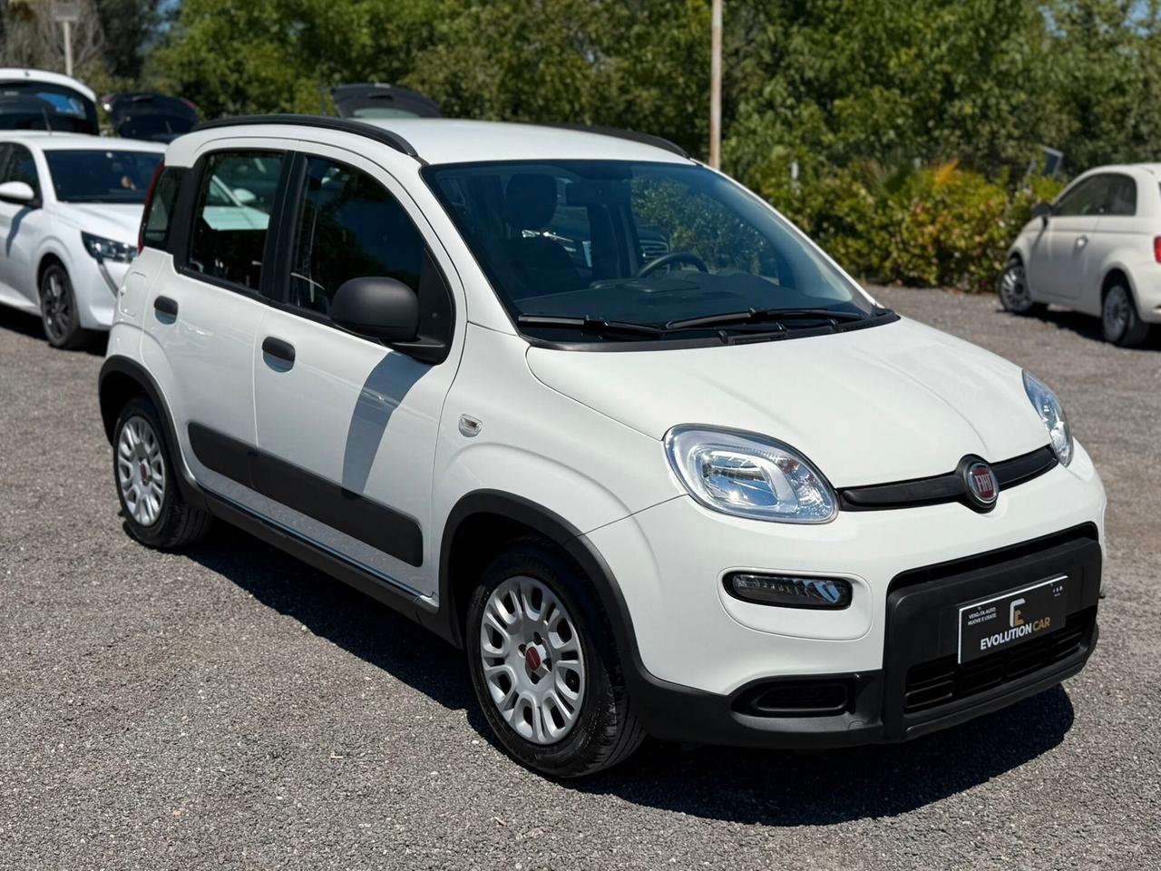 Fiat Panda 1.2 GPL CASA MADRE 2024