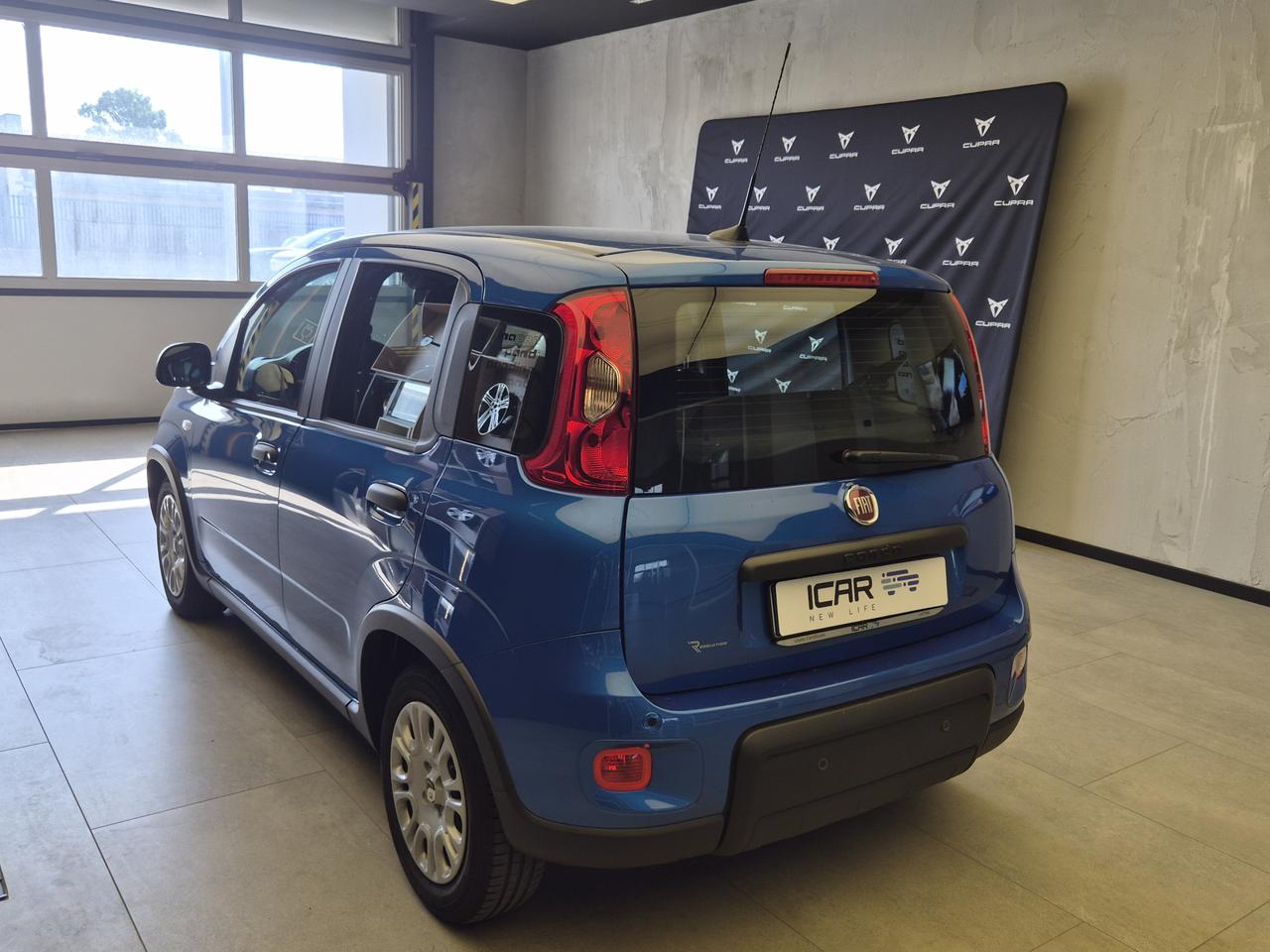 FIAT Panda III - Pandina 1.0 firefly hybrid s&s 70cv