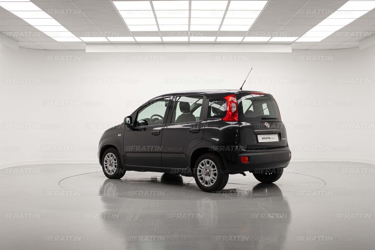 FIAT Panda 3ª serie 1.0 FireFly S&S Hybrid