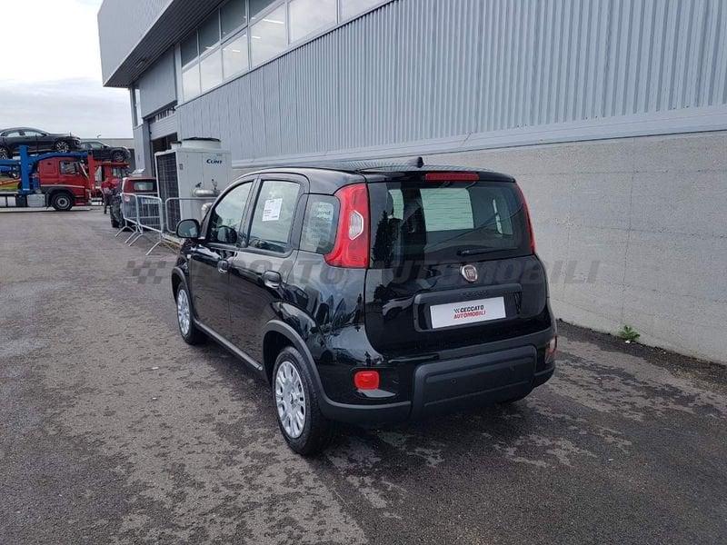 FIAT Panda Panda 1.0 70cv Hybrid Panda