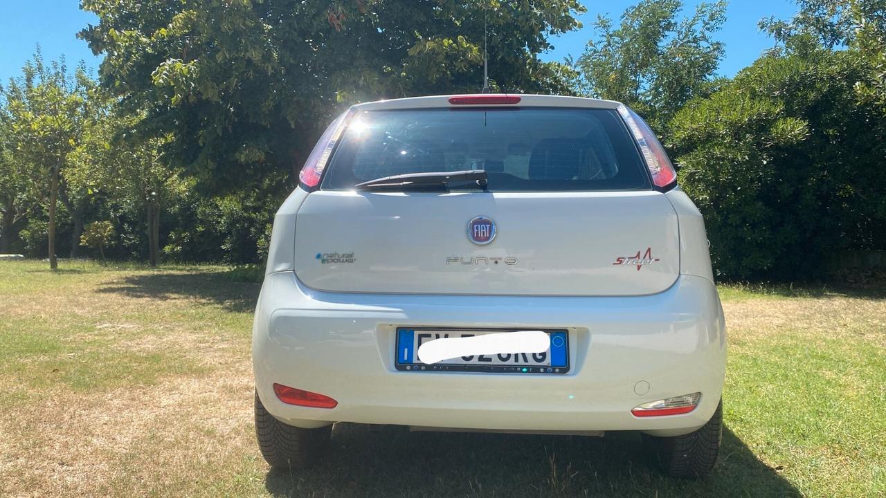 Fiat Punto 1.4 8V 5 porte Natural Power Street