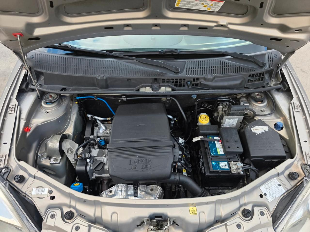 Lancia Ypsilon 1.2 Platino