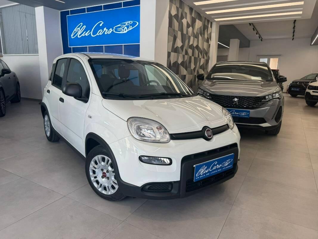 Fiat Panda III 1.0 firefly hybrid City Life s&s 70cv