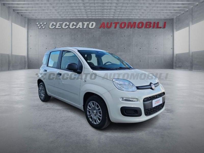 FIAT Panda Panda 1.0 70cv Hybrid Icon