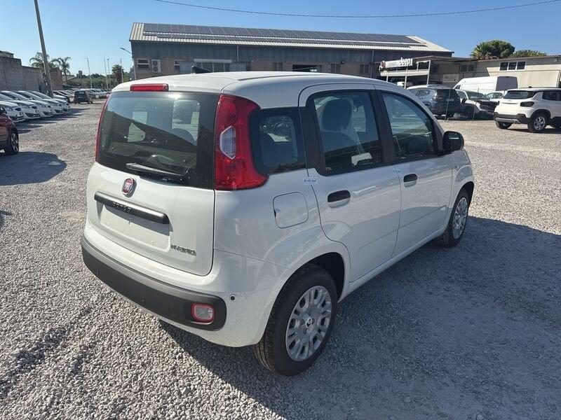 FIAT Panda N. 1.0 70cv Hybrid Panda