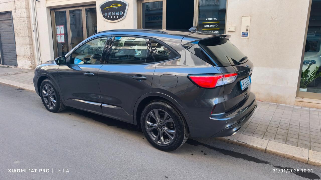 Ford Kuga 1.5 EcoBlue 120 CV aut. 2WD ST-Line 2022