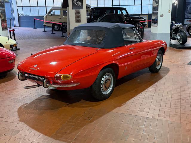 ALFA ROMEO Spider Osso di Seppia 1750 Veloce