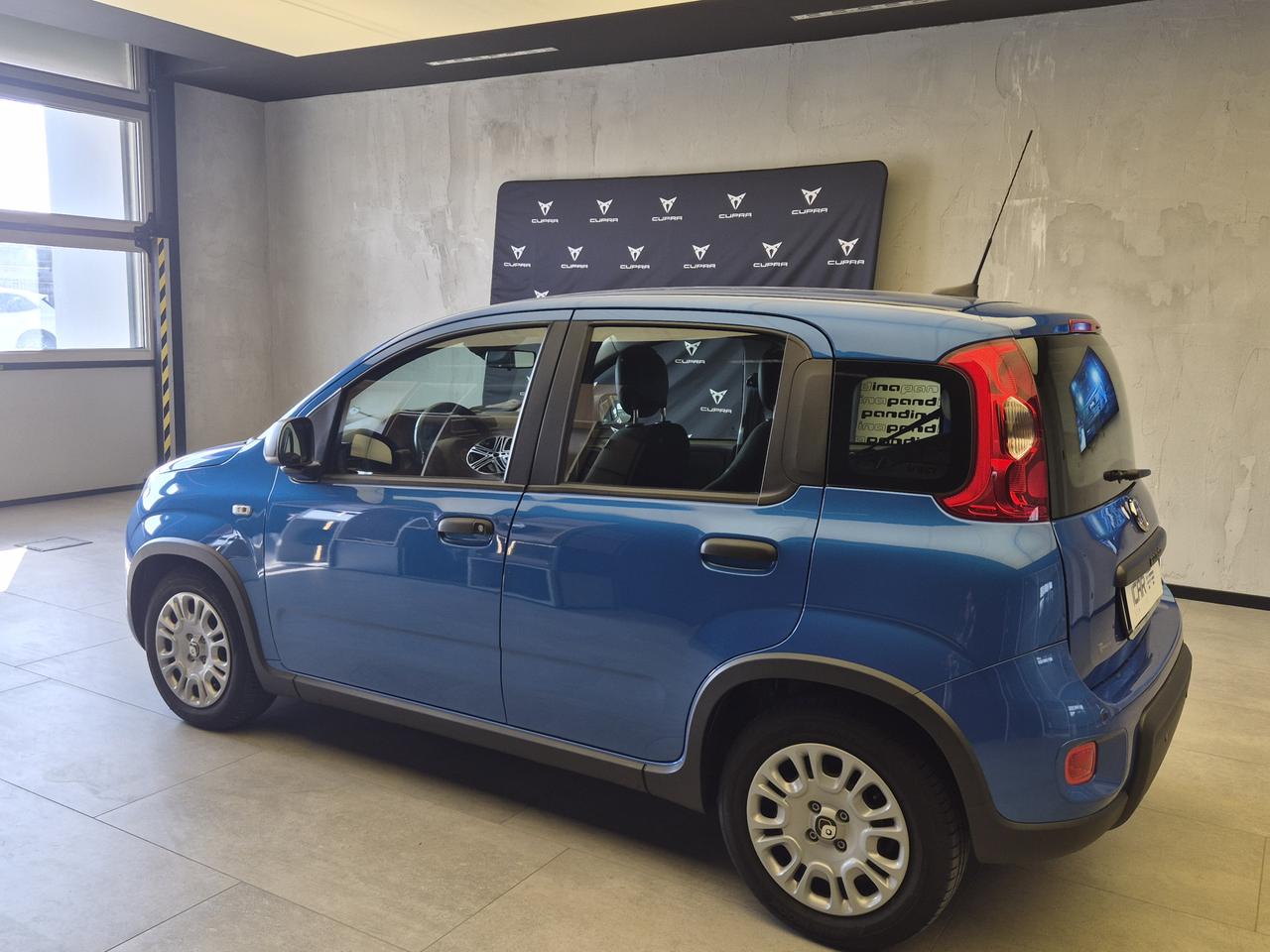 FIAT Panda III - Pandina 1.0 firefly hybrid s&s 70cv