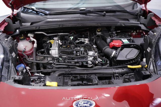FORD Puma 1.0 EcoBoost Hybrid 155cv S&S ST-Line Vignale