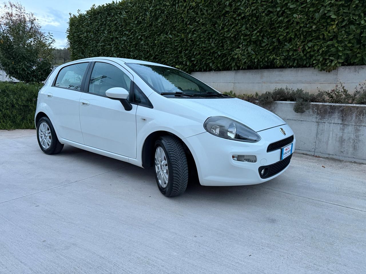 Fiat Punto Easy Lounge 1.3 Mjt 85 cv