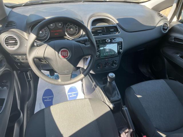 FIAT Punto 1.2 8V 5 porte Young