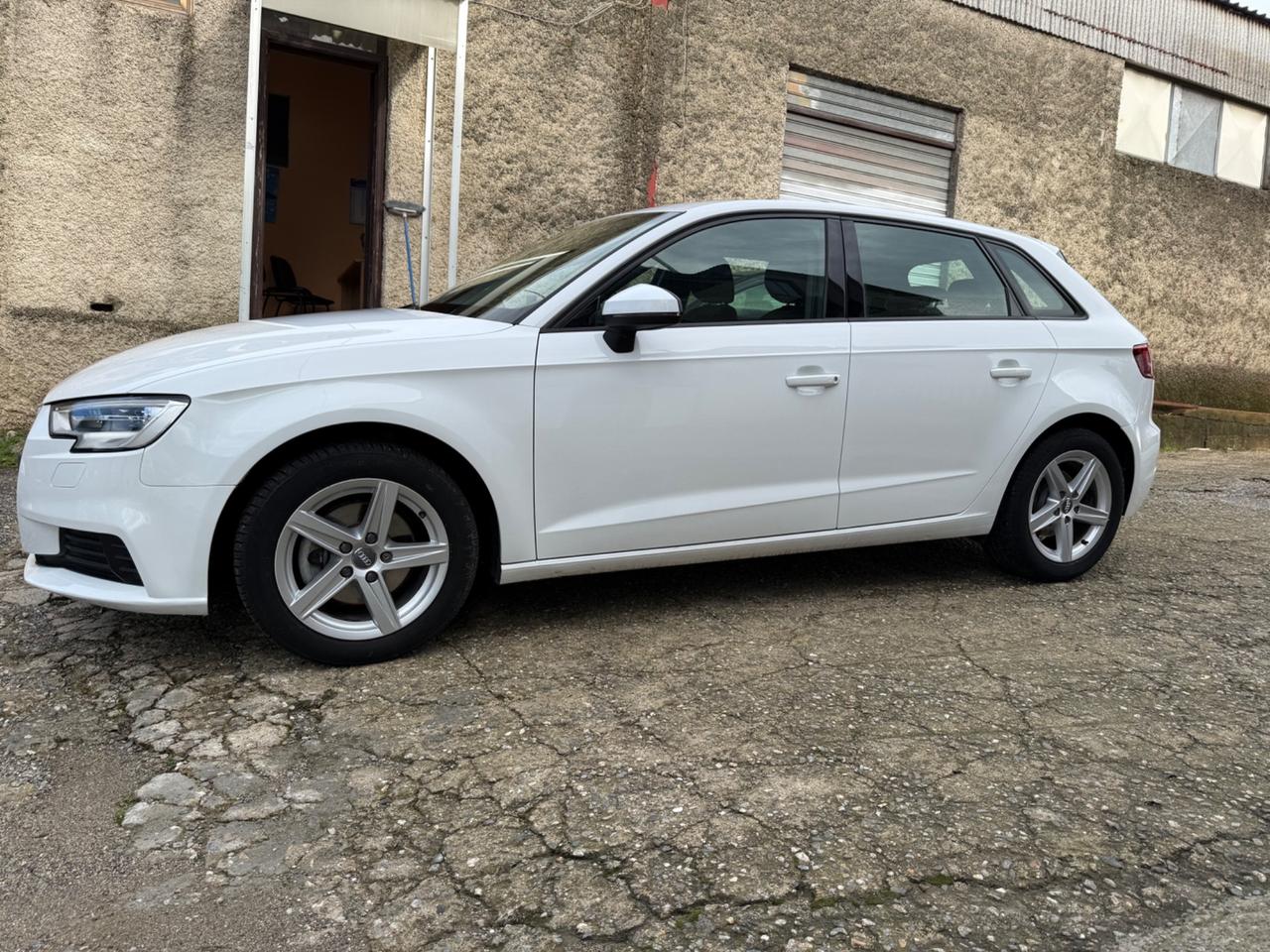 Audi A3 SPB 1.6 TDI 116 CV Sport