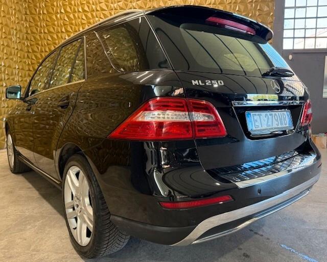 Mercedes-benz ML 250 BlueTEC 4Matic Premium