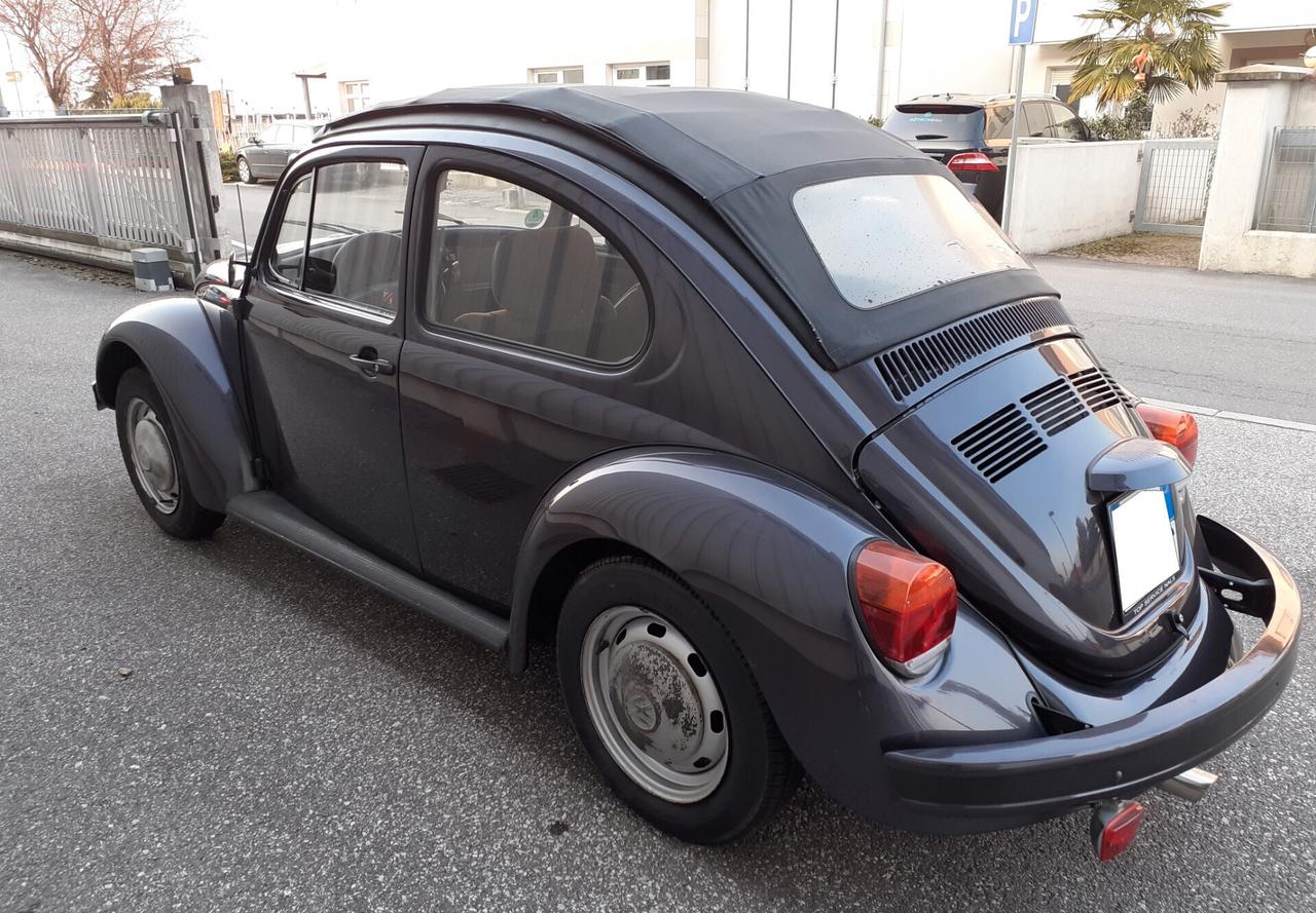 Volkswagen Passat Maggiolino