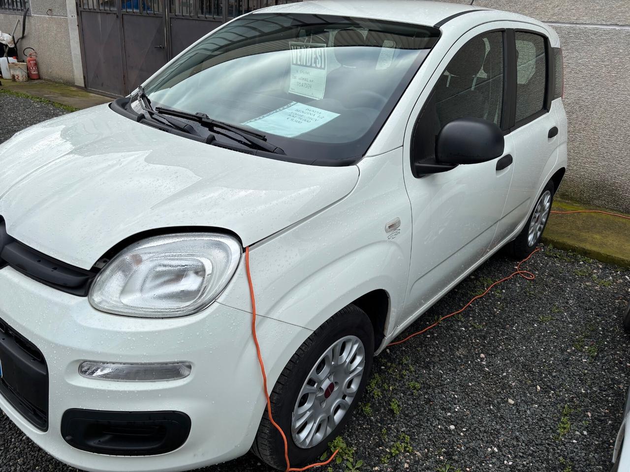 Fiat Panda 1.2 Easy