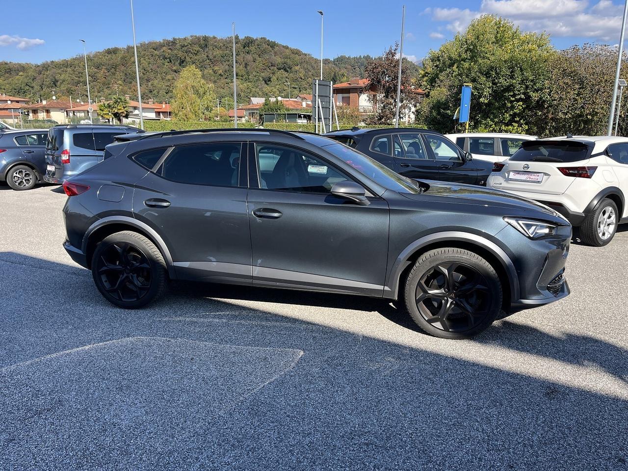 CUPRA FORMENTOR 2.0 TDI 150 CV 4X4 DSG