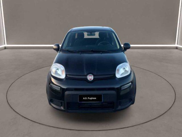 FIAT Panda 3ª serie - 1.0 FireFly S&S Hybrid