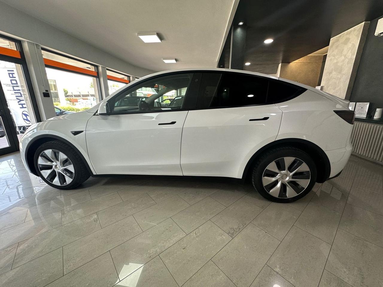 Tesla Model Y Long Range Dual Motor AWD #6076