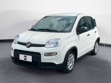 FIAT Panda 1.0 firefly hybrid City Life 70cv 5p.ti