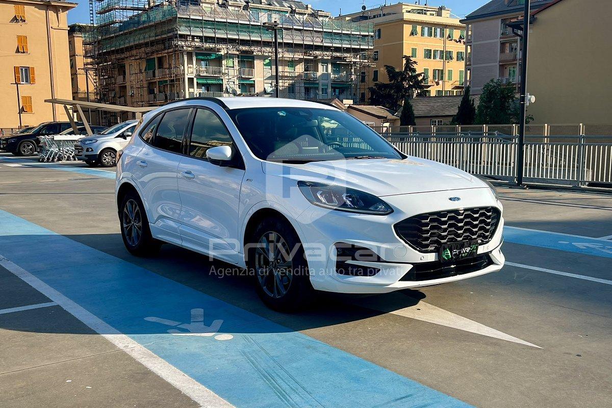 FORD Kuga 1.5 EcoBlue 120 CV aut. 2WD ST-Line