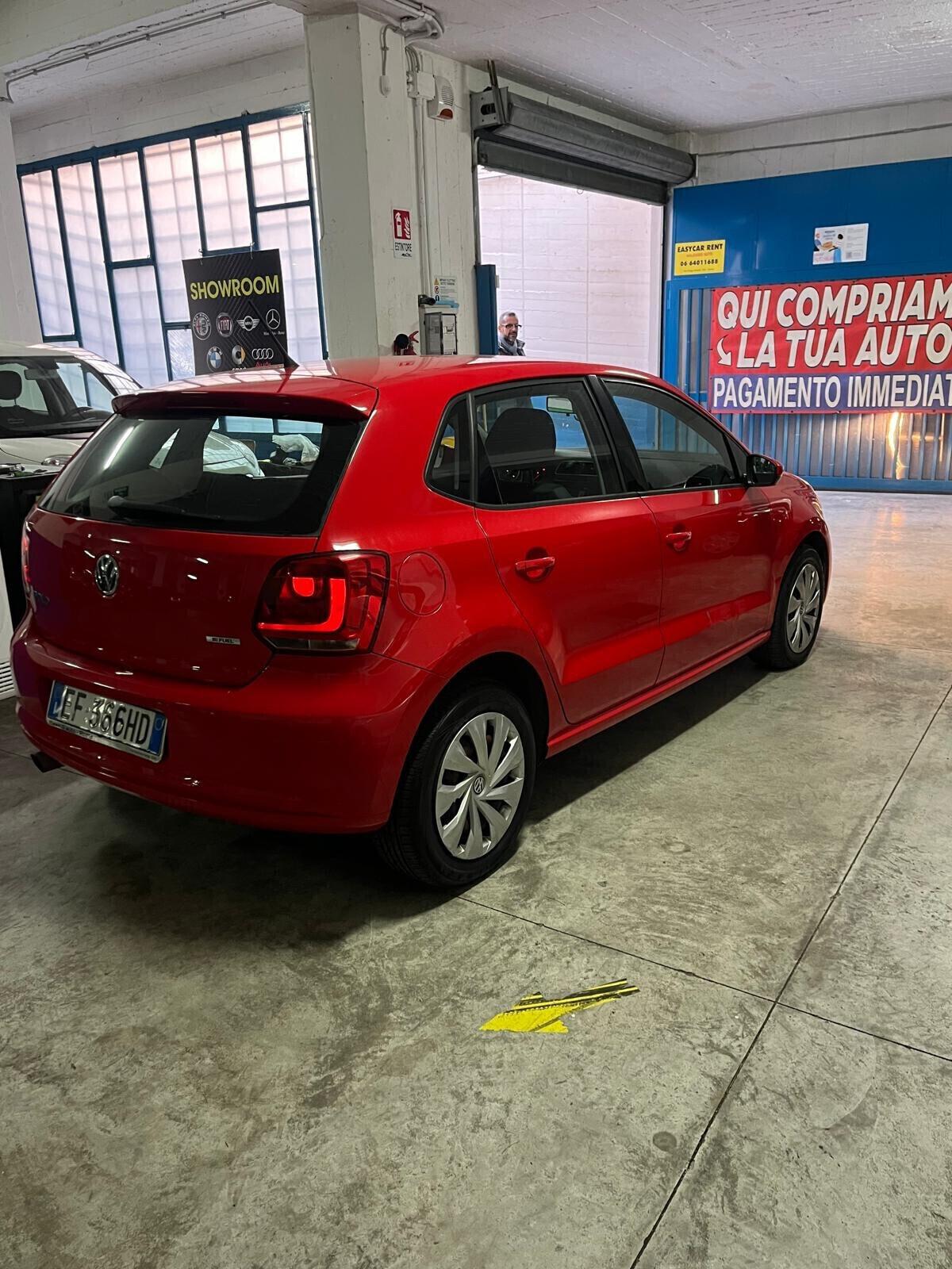 Volkswagen Polo 1.4 5 porte Comfortline BiFuel