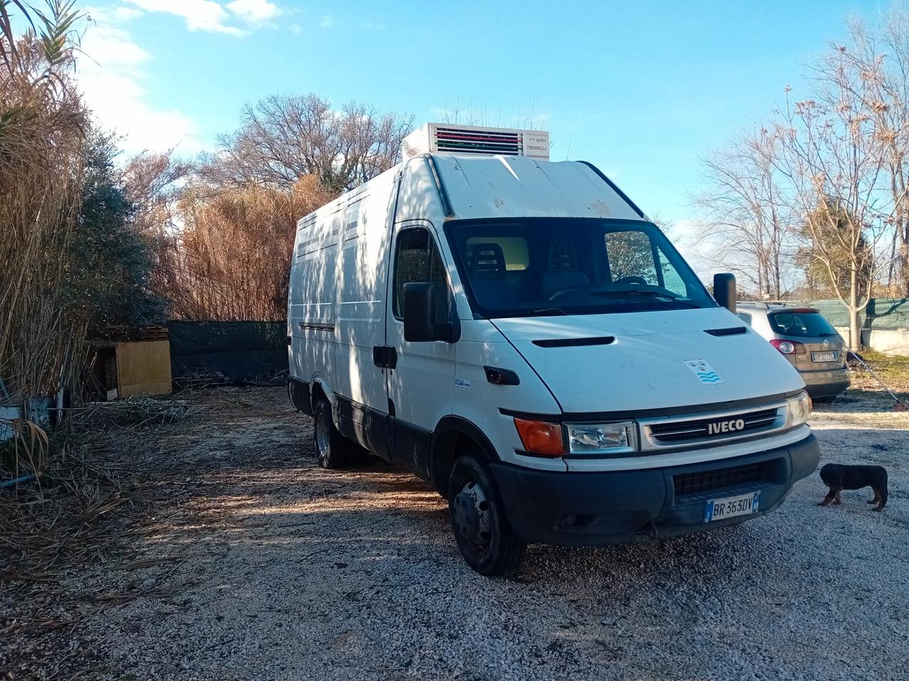 Iveco daily frigo motore con problemi
