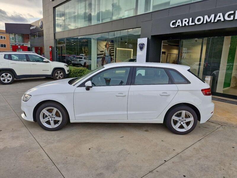 Audi A3 III 2016 Sportback Sportback 30 1.6 tdi Business 116cv my19