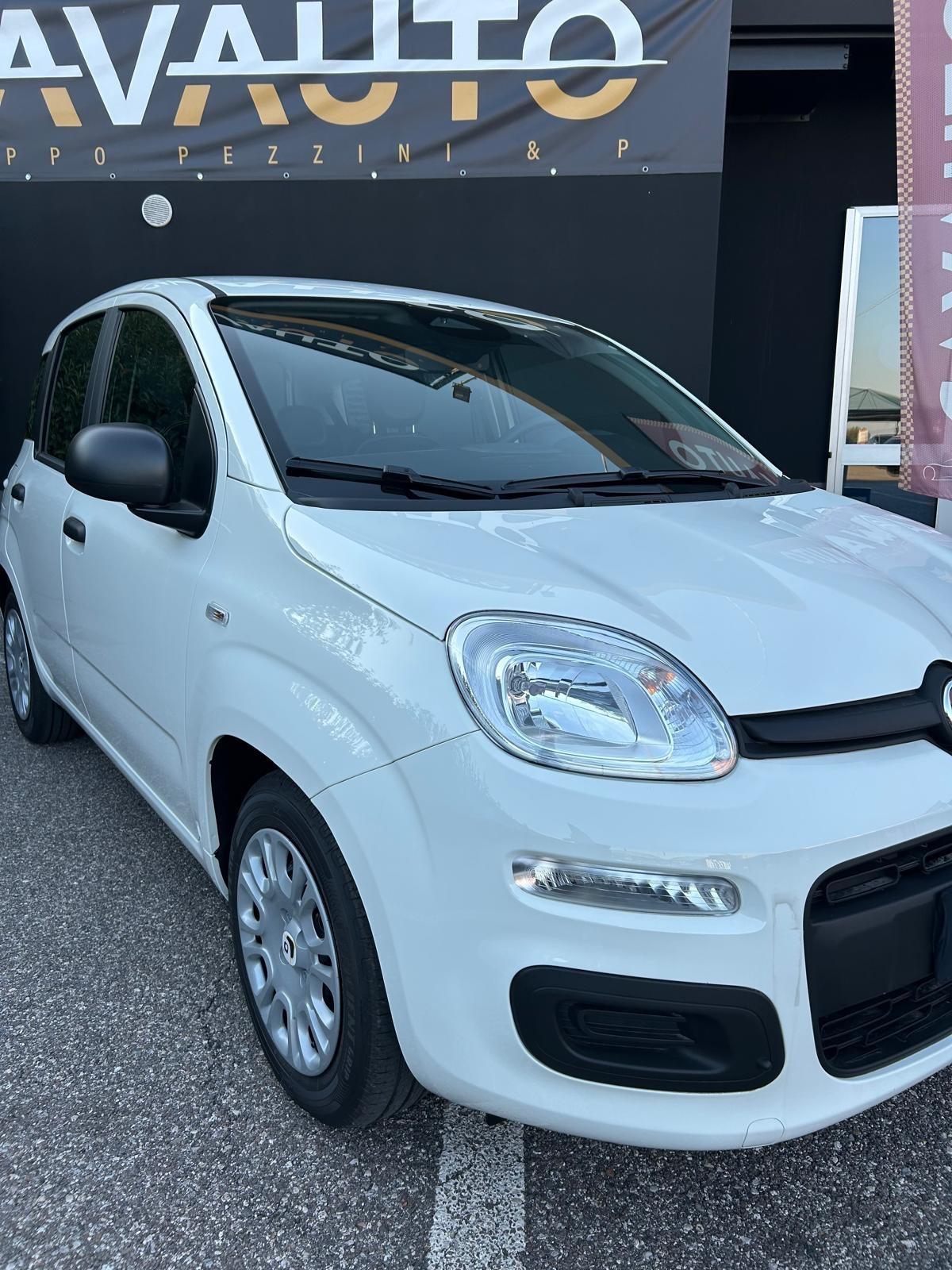 Fiat Panda Pandina 1.0 FireFly 65 CV Hybrid Icon